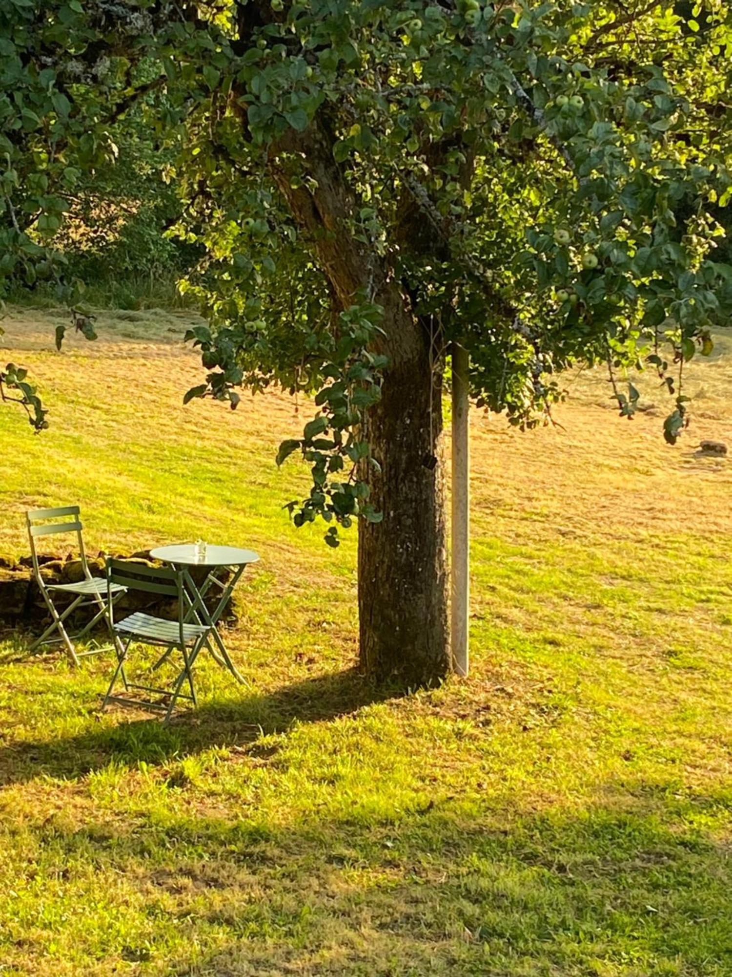 Une Pause En Correze Sarroux Exterior photo